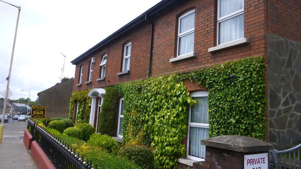 Roseville Lodge B&B Дроэда Экстерьер фото
